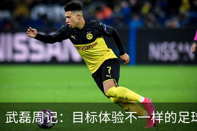武磊周记：目标体验不一样的足球 这是追寻的意义